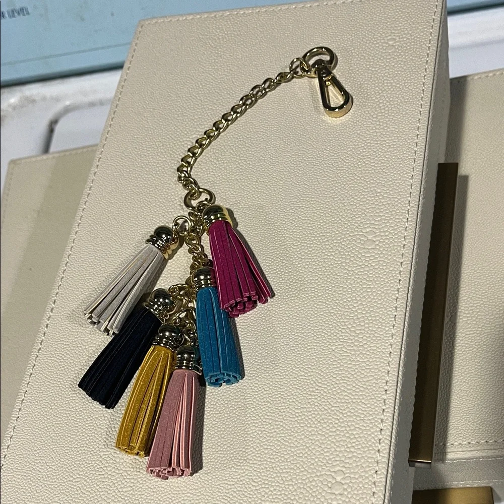 Keychain purse chain purse charm Multicolor Tassel Keychain